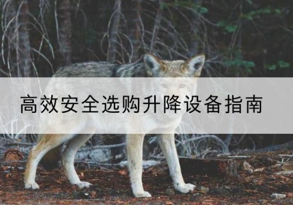 宣城升降货梯厂家推荐-*安全选购升降设备指南
