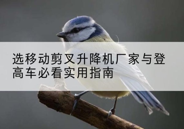 宣城电动升降机厂家-选移动剪叉升降机厂家与登高车必看实用指南